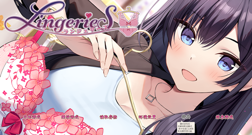 图片[2]-内衣售卖员（2D，PC汉化版）-天玉二号店