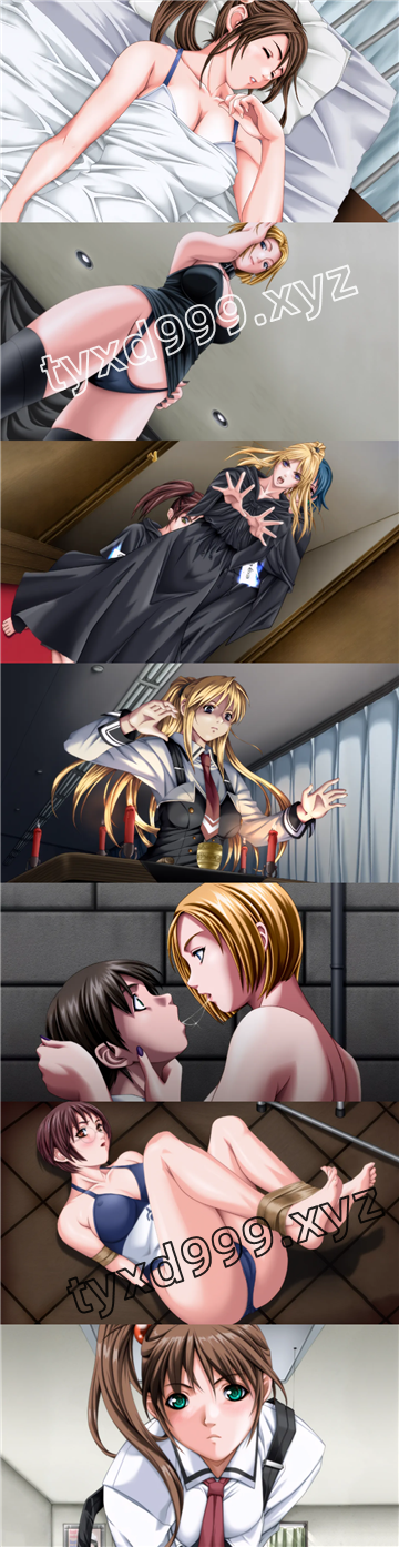 图片[3]-【PC+安卓系列】黑暗圣经：沃尔普吉斯之夜-天玉二号店